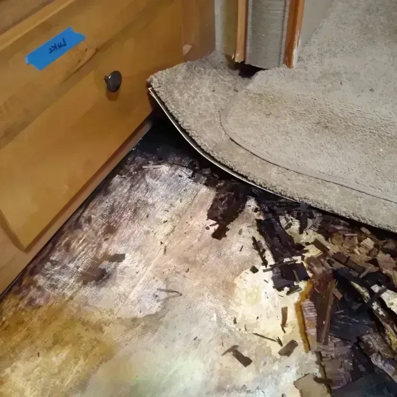 Wood Floor Water Damage in Mountainside, NJ